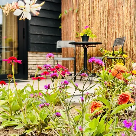 Bed&Breakfast Ons Plekje-2