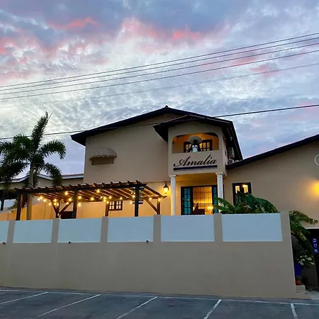 Casa Amalia - Jan Thiel Beach (Adults Only)-2