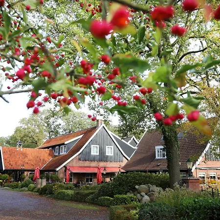Het Ros van Twente-3