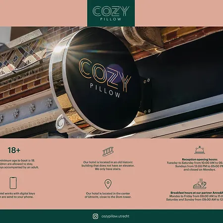 Cozy Pillow-2