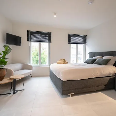 Mavue kamer met terras-3