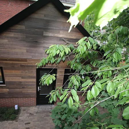 B & B Chawe-3