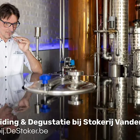 Destoker-3