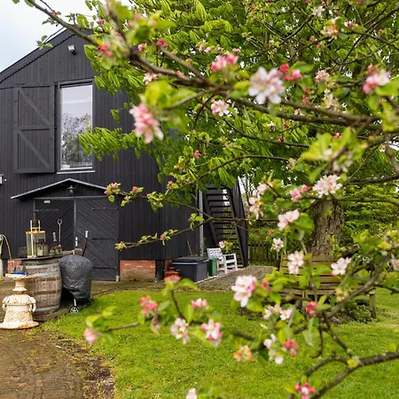Studio Hooischuur Alkmaar/Bergen-3