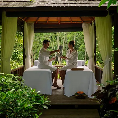The Westin Resort & Spa Ubud, Bali-3