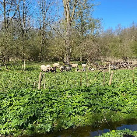 Ecolodge Almere With Private Outdoor Terrace & Beach-2