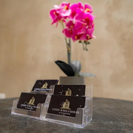 Center Suites San Eloy-2