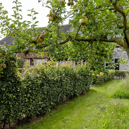 Den Eijngel bed&breakfast-3