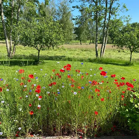 B&B Otterstee-3