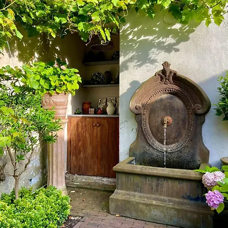B&B Huyze Elimonica-2