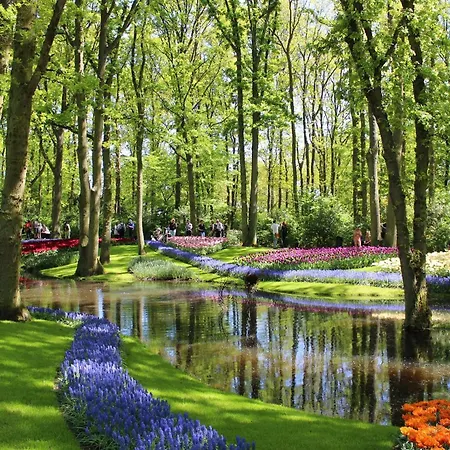 Bed&Breakfast Ineke en John-2