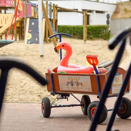 Vakantiedomein Hoge Duin-2