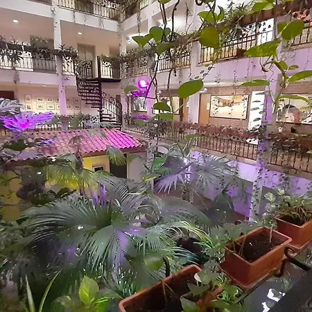 Solitaire Hotel-3