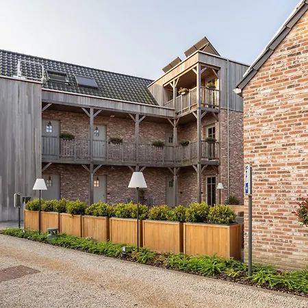 B&B Sasput-3