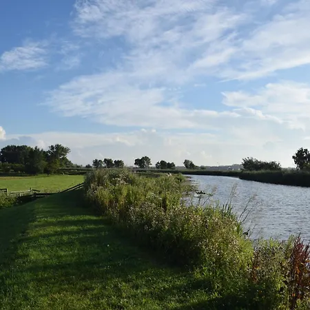 Zwier, de Vrijhaven-3