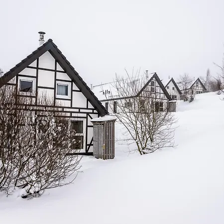 Landal Winterberg-3