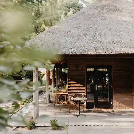 B&B Mollenvlied Veluwe-2