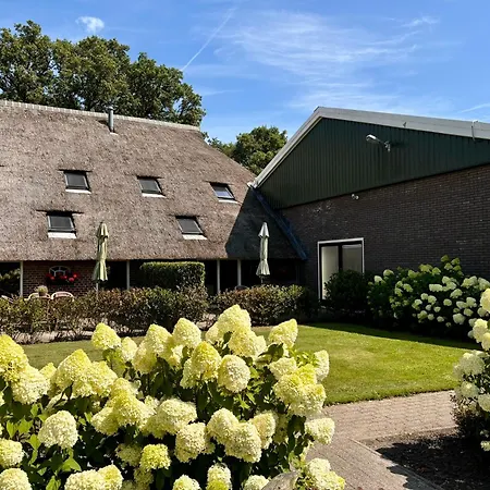 De Veurdeale-2