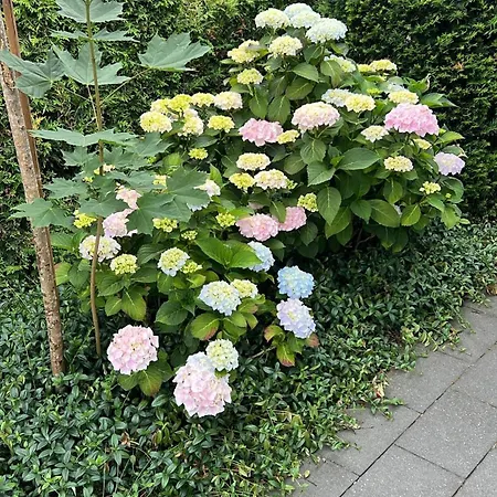 Vakantiehuis “Het Zeepaard”-2