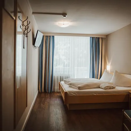 Hotel ALPINA-3