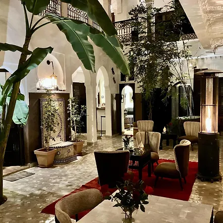 Riad Aya-2