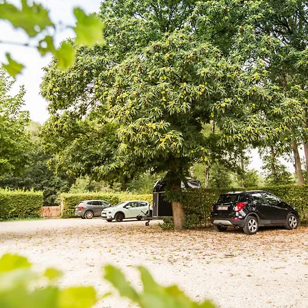 Wellness Hasselt B&B-3