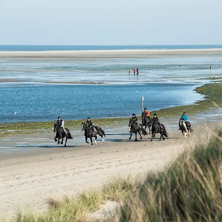 Breeze Ameland-2