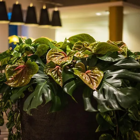 Sheraton Duesseldorf Airport Hotel-3