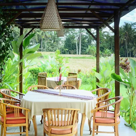 Bhanuswari Resort & Spa-2