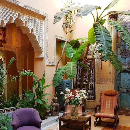 Riad Armelle-3