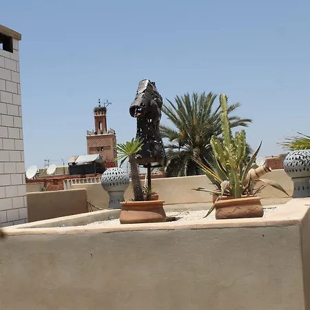 Riad Nafis-2