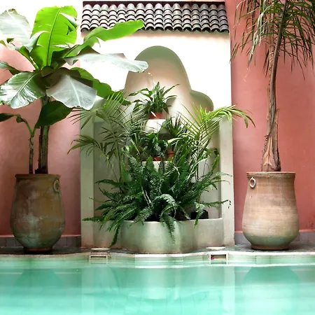 Riad Aderbaz-2