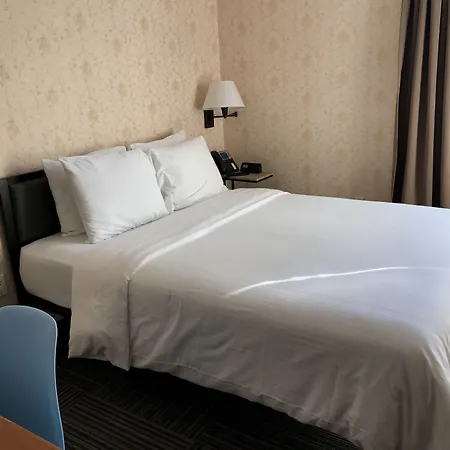 Hotel Mimosa-2