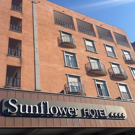 Hotel Sunflower-3
