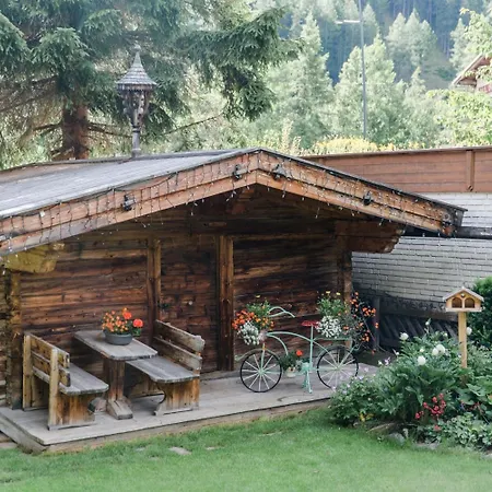 Hotel Sportpension Carinthia-2