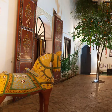 Riad Chergui-3