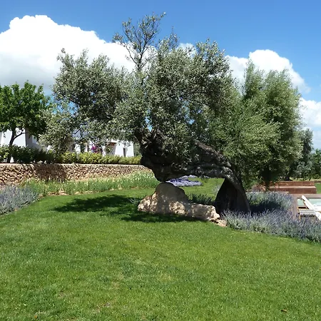 Casa Maca-2