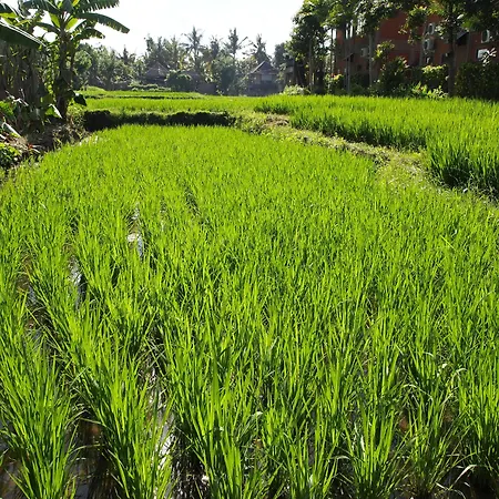 Saren Indah Hotel-2