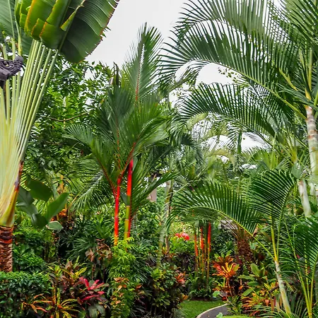 Devi'S Place Ubud-3