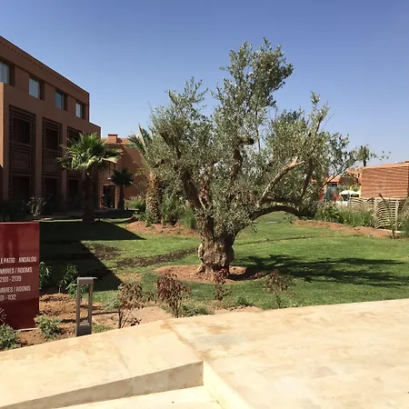 Be Live Experience Marrakech Palmeraie-3