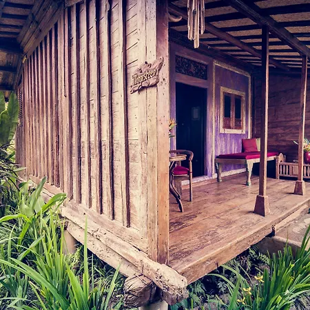 Dragonfly Village-2