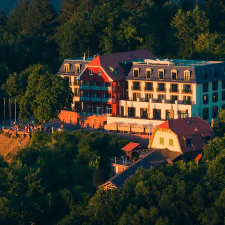 Berggasthof Koenigstuhl-2