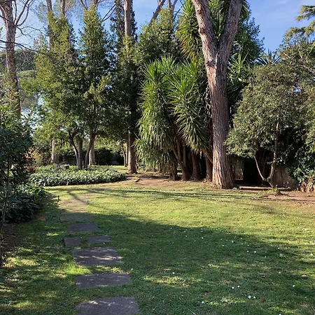 Villa Albina-2