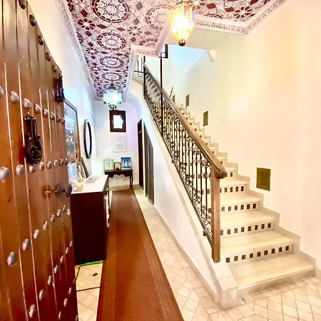 Riad Nouhal-2