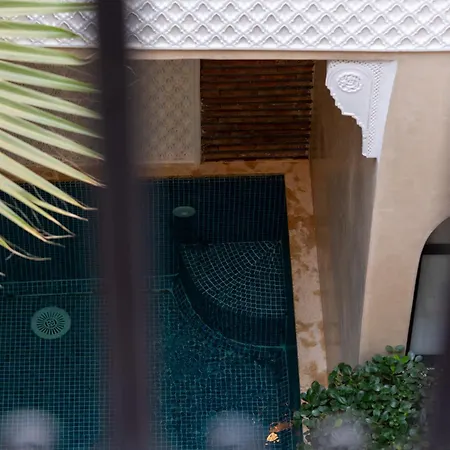 Riad Beldi-2