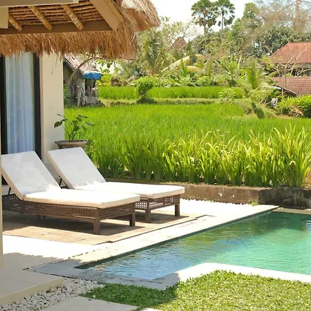 Mesari Hotel Ubud-3