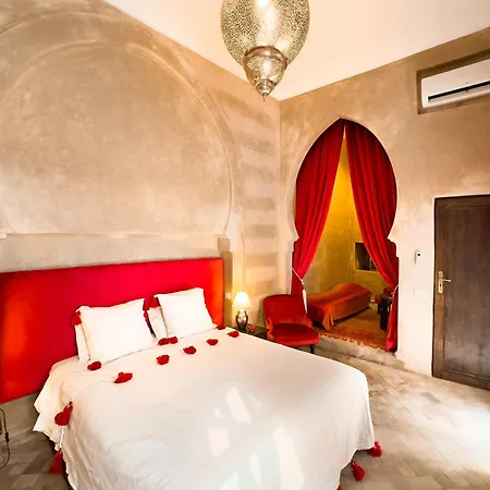 Riad Selouane-3