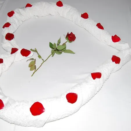 Dar "Jenna-Rose"-3
