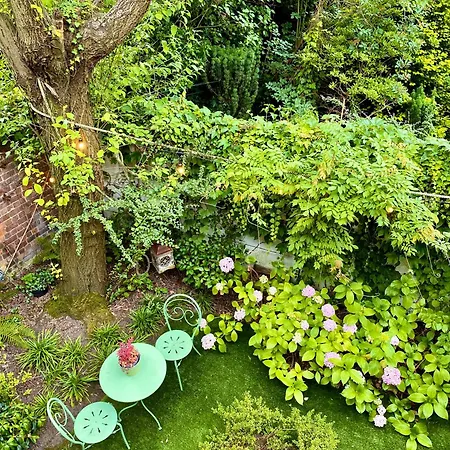B&B Petit Prince, Gent-2