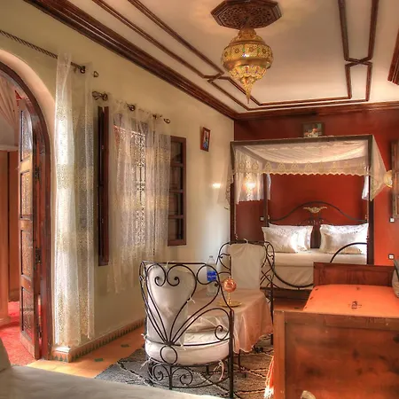 Riad Elizzi-2